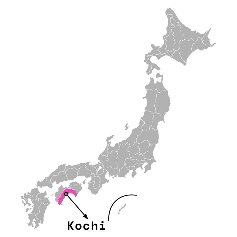 Tỉnh Kochi